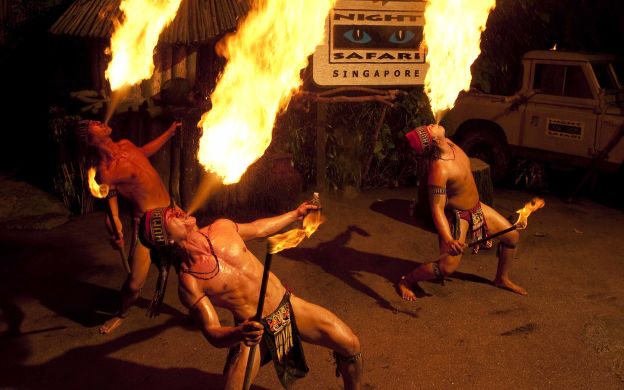 Embark on a mesmerizing Night Safari tour, exploring captivating nocturnal wildlife and immersing in a unique nocturnal adventure.